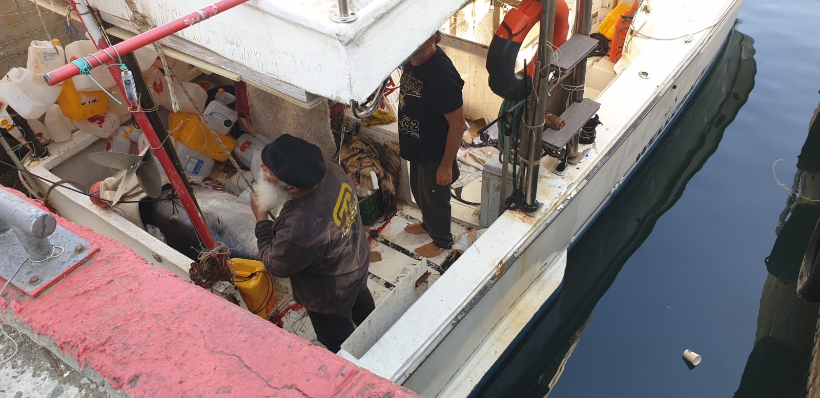 WhatsApp Image 2020-05-13 at 9.01.58 AM (2).jpeg.jpeg